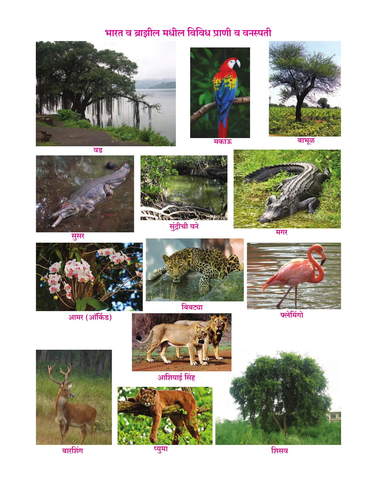 इयत्ता 10 वी भूगोल पुस्तक - Page 2