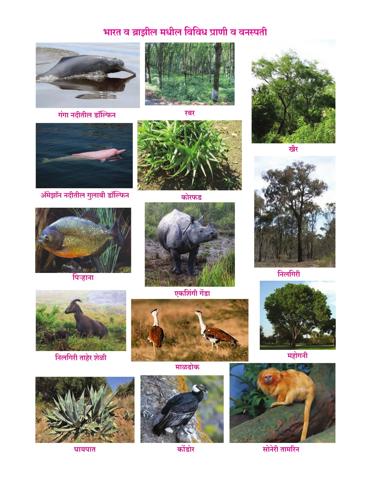 इयत्ता 10 वी भूगोल पुस्तक - Page 79