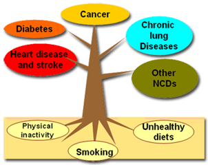 Non Communicable Or Non Infectious Diseases