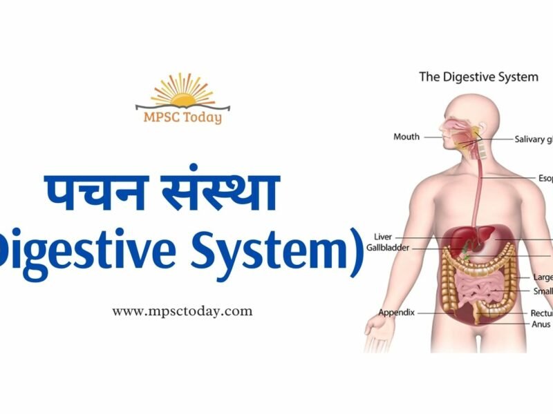 पचन संस्था (Digestive System)