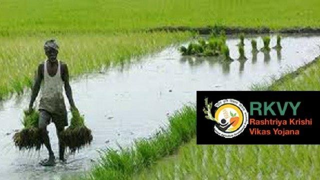 राष्ट्रीय कृषी विकास योजना
