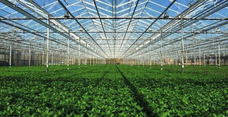 Horticulture Farming