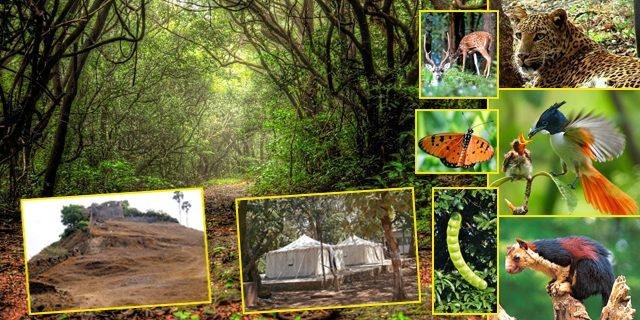 Phansad Wildlife Sanctuary