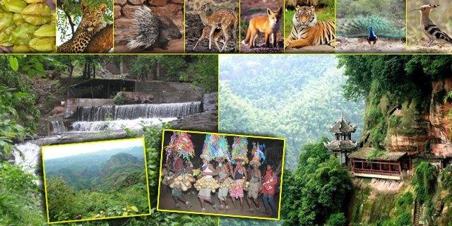 यावल अभयारण्य (Yawal Wildlife Sanctuary)