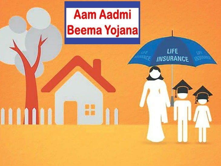 आम आदमी विमा योजना