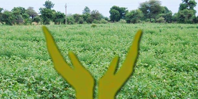 कृषी उत्पन्न विमा योजना