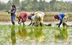 कृषी श्रमिक सामाजिक सुरक्षा योजना