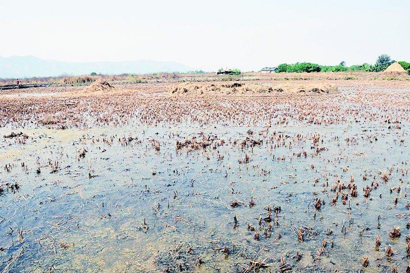 खारभूमी विकास योजना