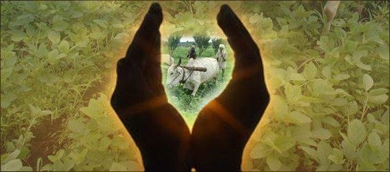 शेतकरी जनता अपघात विमा योजना