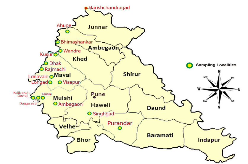 Pune District