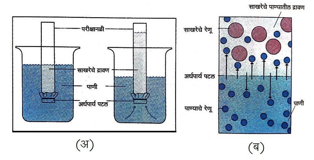 द्रावणांची संहती