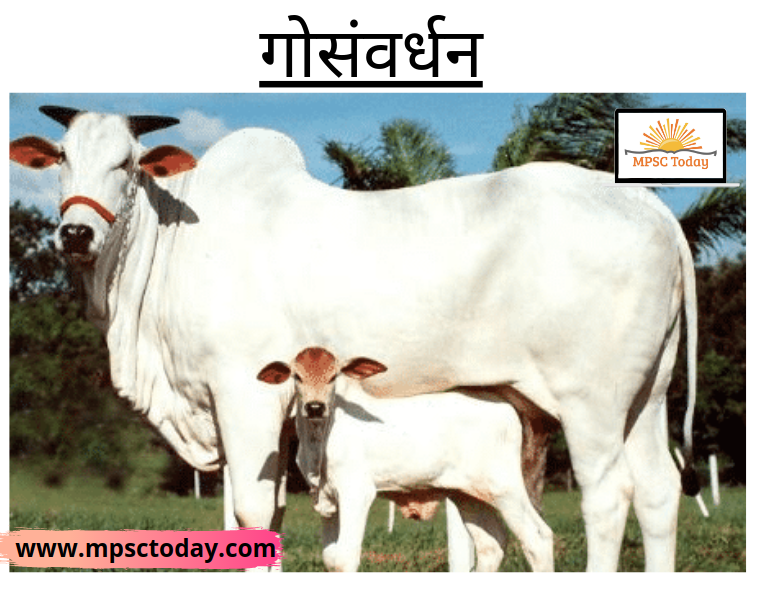 गोसंवर्धन - www.mpsctoday.com