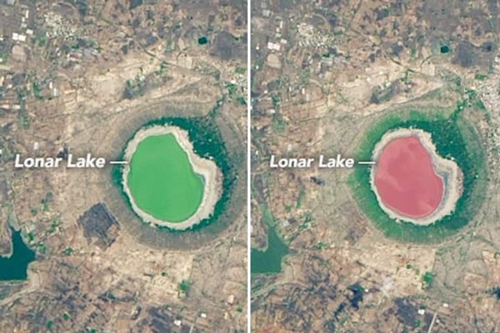 lonar-lake-pink