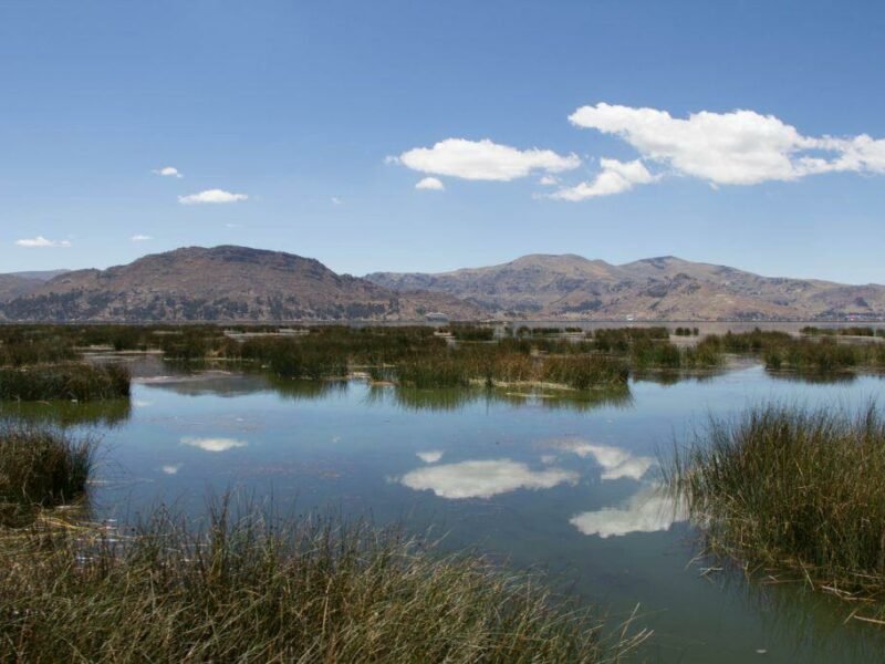 टिटिकाका सरोवर Lake Titicaca