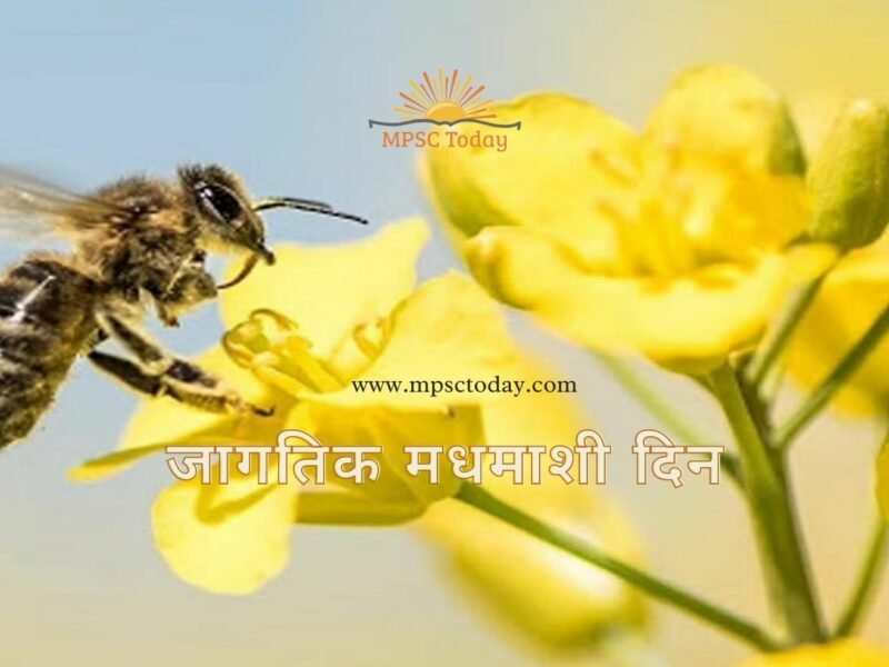 जागतिक मधमाशी दिन