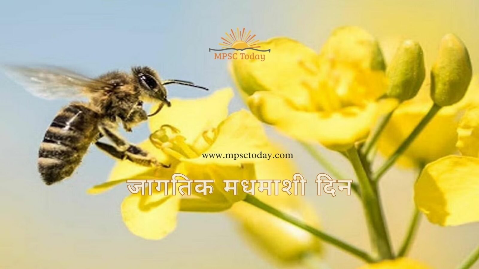 जागतिक मधमाशी दिन