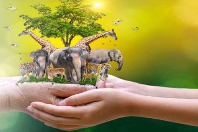 2 ते 8 ऑक्टोबर 2022 या कालावधीत संपूर्ण भारतात 68 वा राष्ट्रीय वन्यजीव सप्ताह साजरा केला जात आहे.