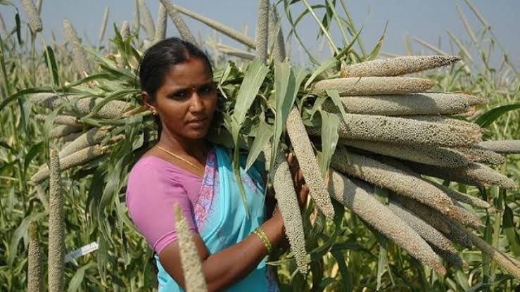 15 ऑक्टोबर रोजी आंतरराष्ट्रीय ग्रामीण महिला दिन 2022 साजरा करण्यात आला.