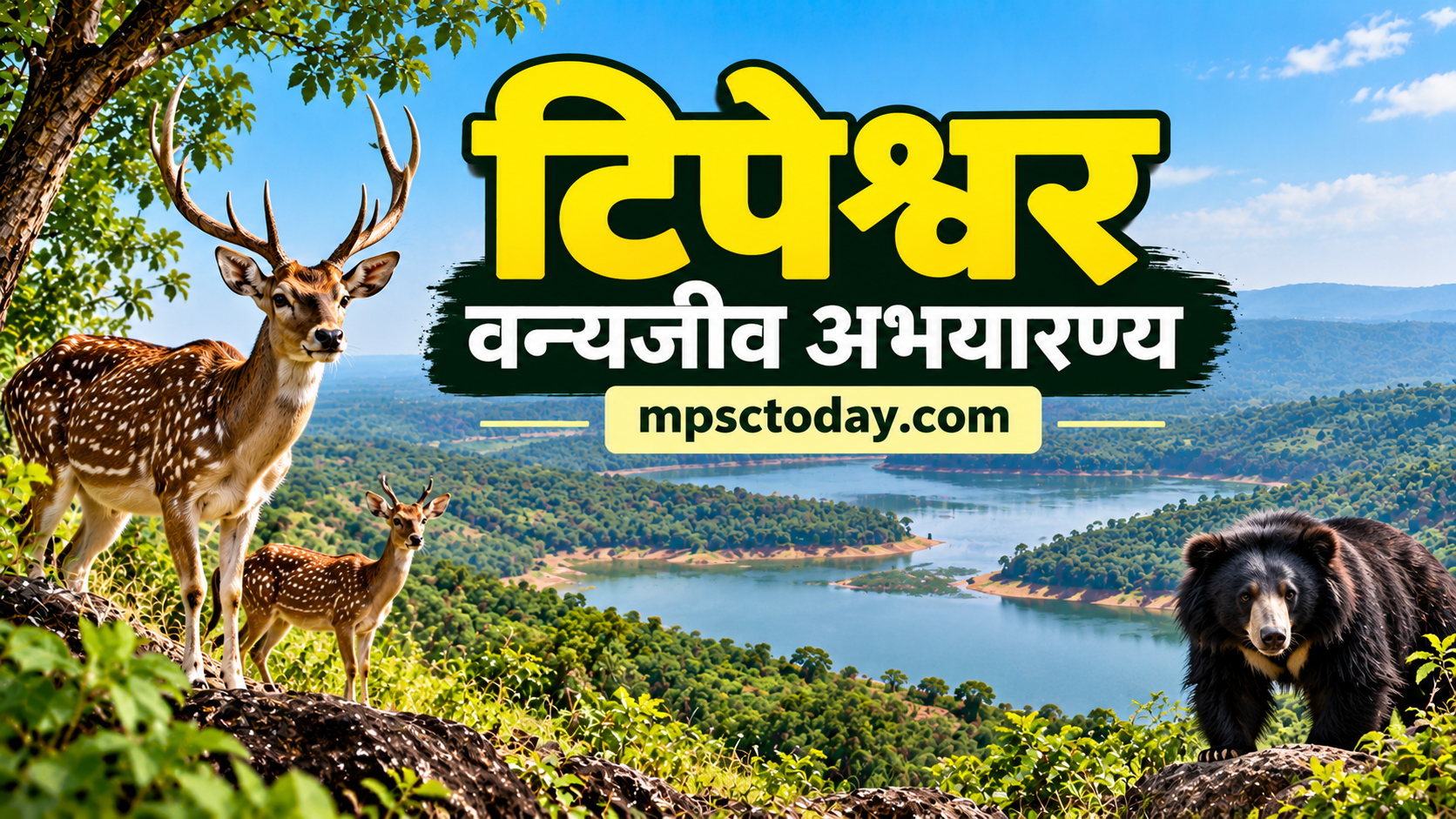 टिपेश्वर वन्यजीव अभयारण्य — भौगोलिक स्थान, जैवविविधता